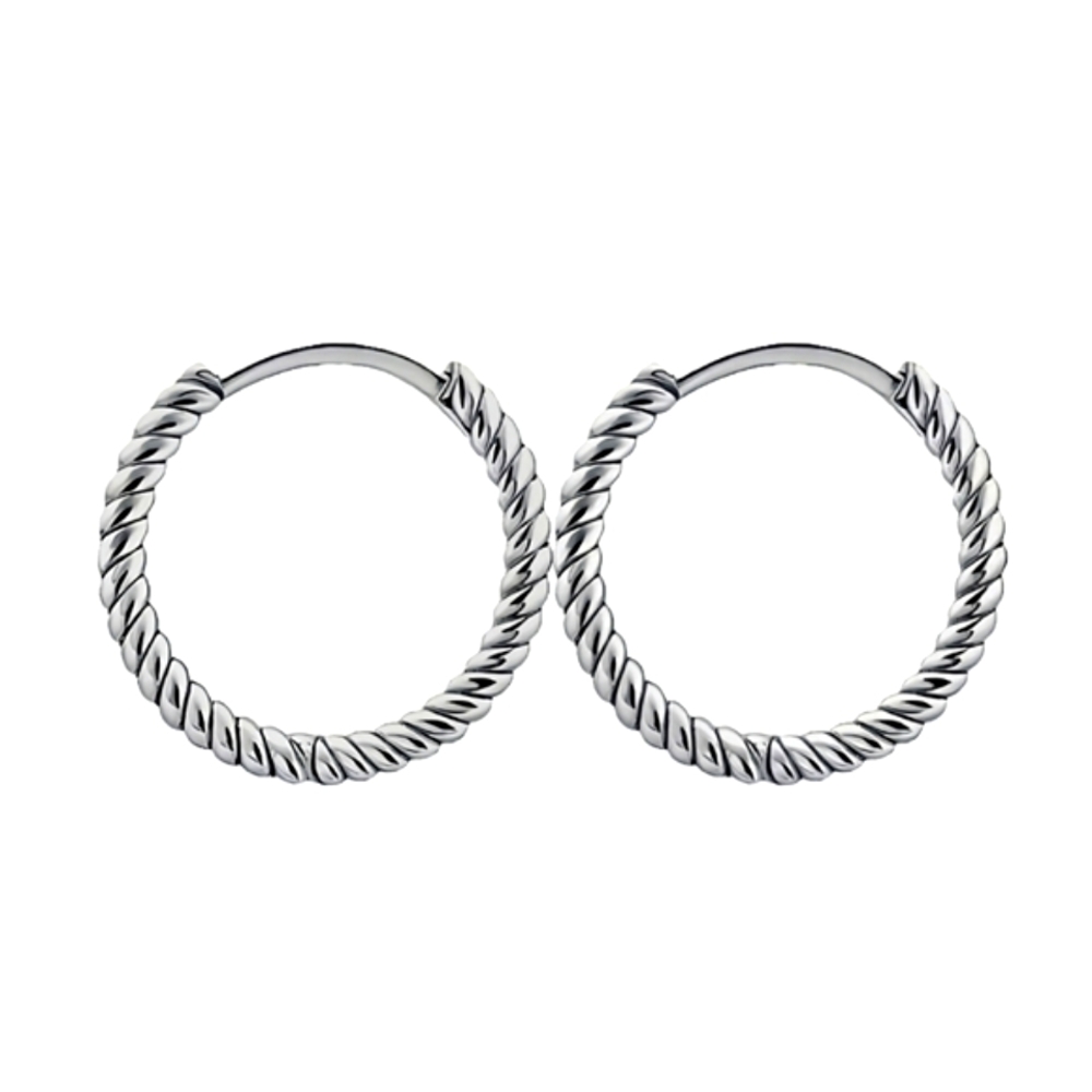 Sterling Silver Twisted Hoop Earrings - Picture 4 of 5